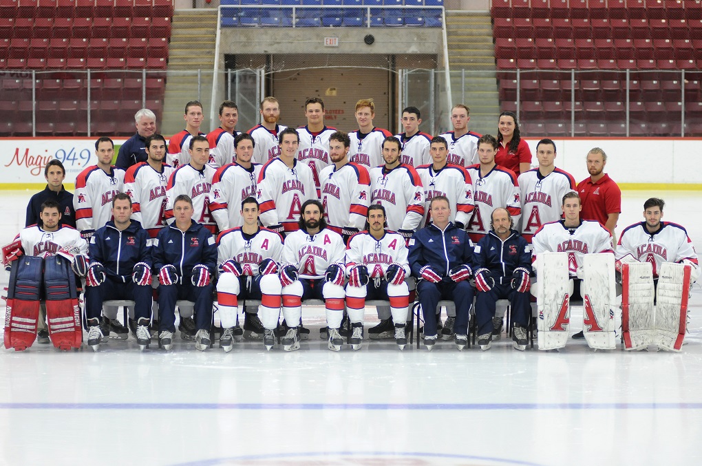 2015-16 Hockey Team
